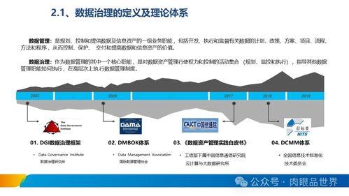 XX集團數據治理體系建設方案 數據處理服務專項規劃